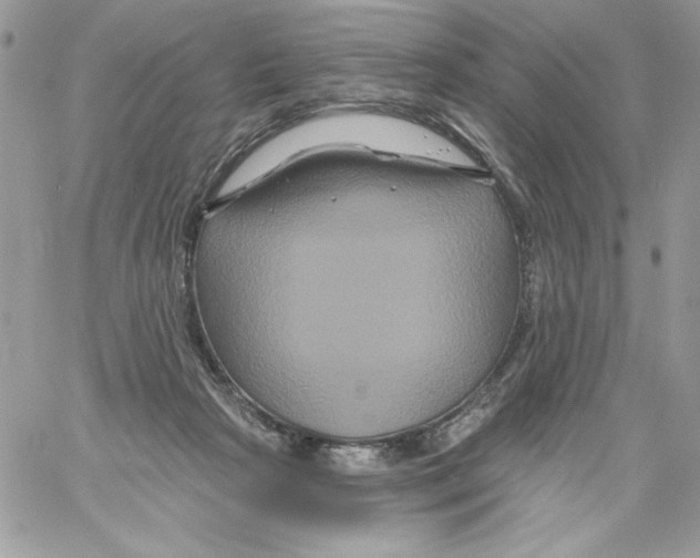 X0000061750265200512302245