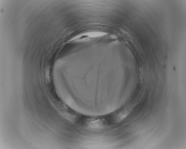 X0000061750267200512302245