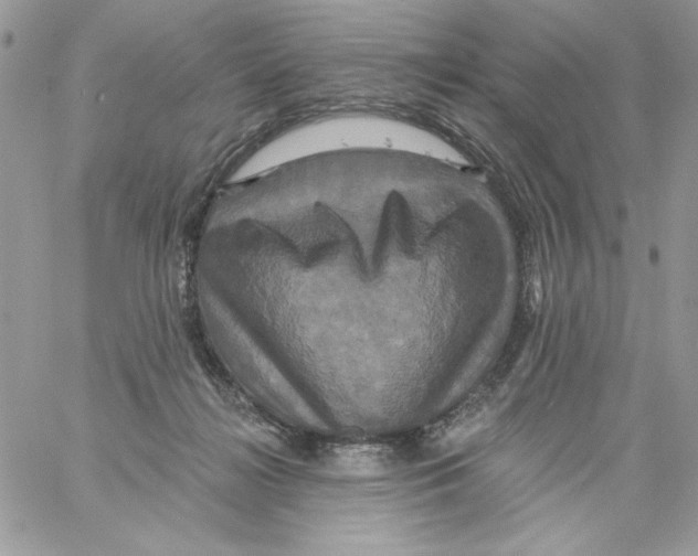 X0000061750268200512302245