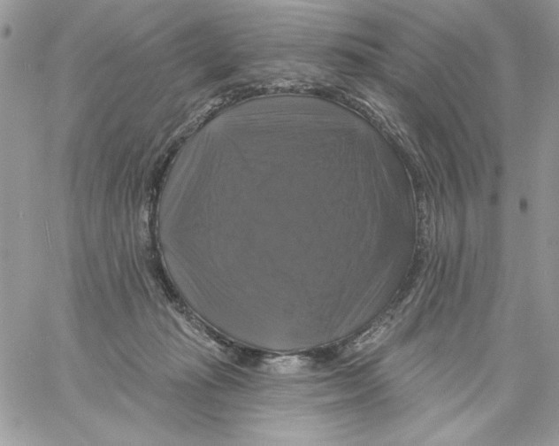 X0000061750269200512302245