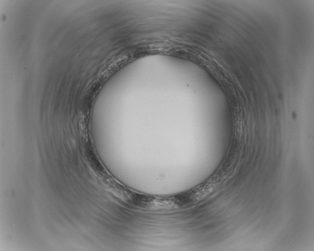 X0000061750270200512302245