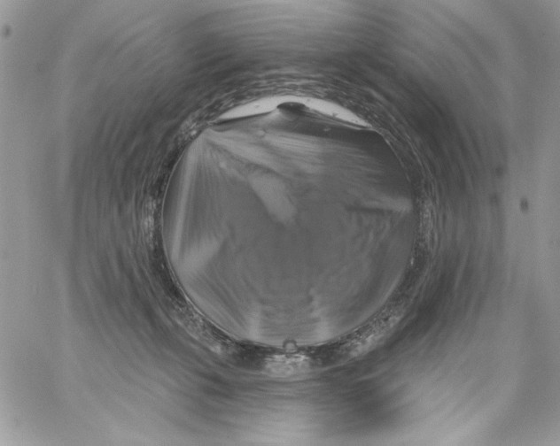 X0000061750271200512302245