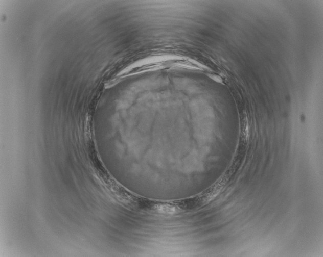 X0000061750272200512302245