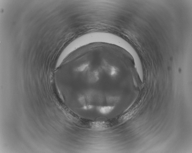 X0000061750273200512302245