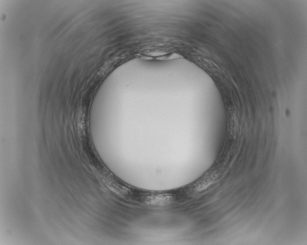 X0000061750274200512302245