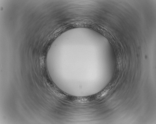 X0000061750278200512302245