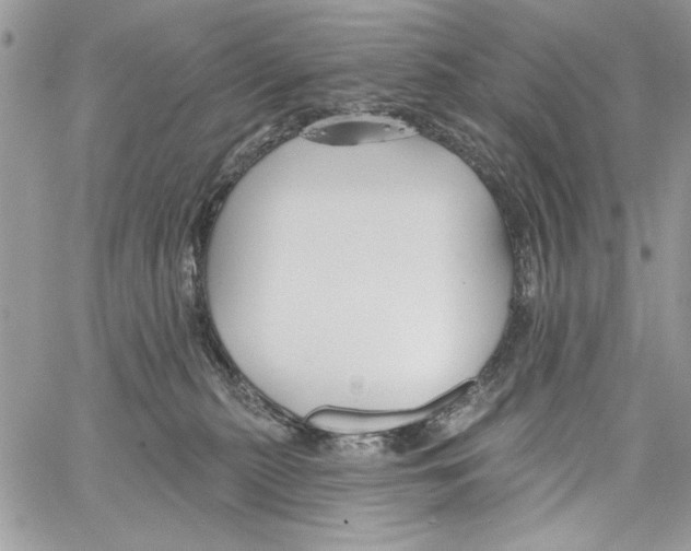 X0000061750279200512302245