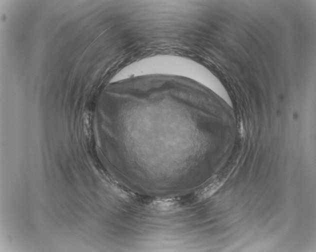 X0000061750280200512302245