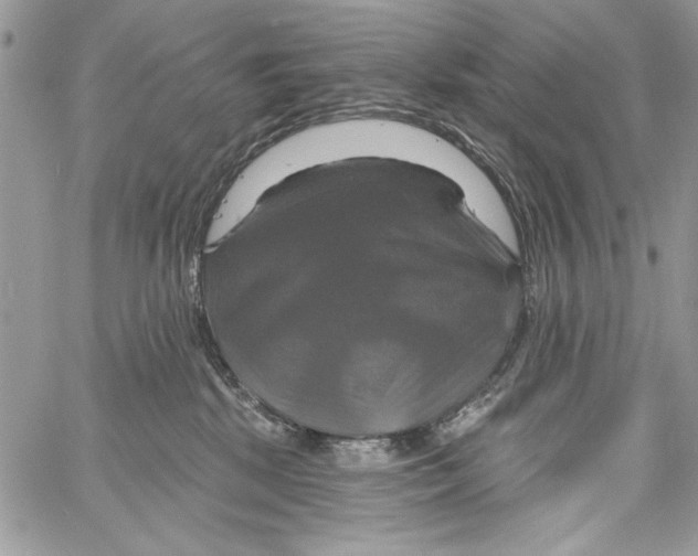 X0000061750281200512302245