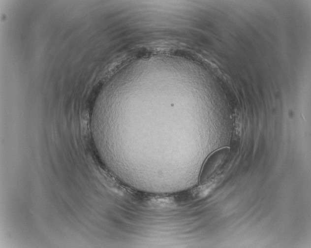 X0000061750283200512302245