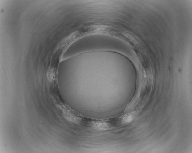 X0000061750284200512302245