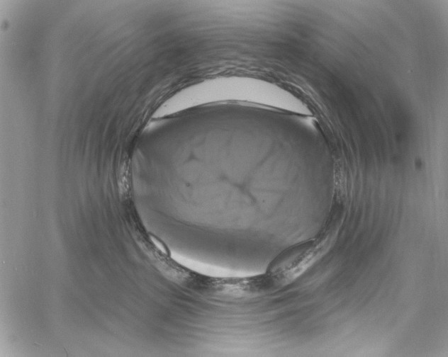 X0000061750285200512302245