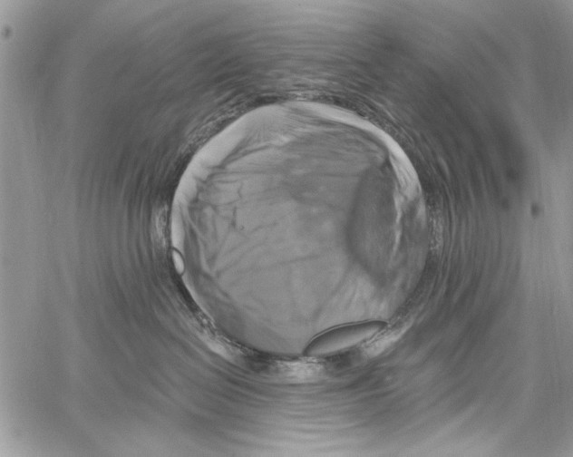 X0000061750286200512302246