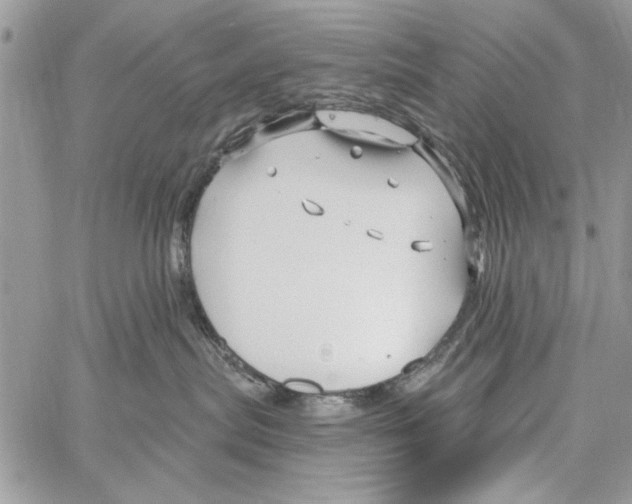 X0000061750287200512302246