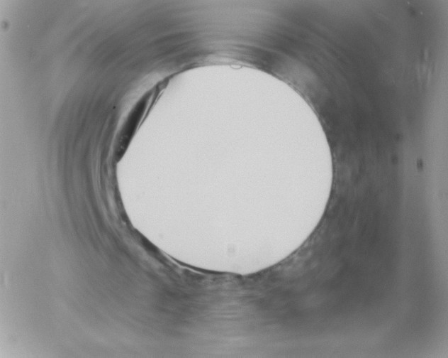 X0000061750289200512302245