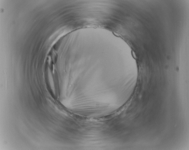 X0000061750290200512302245