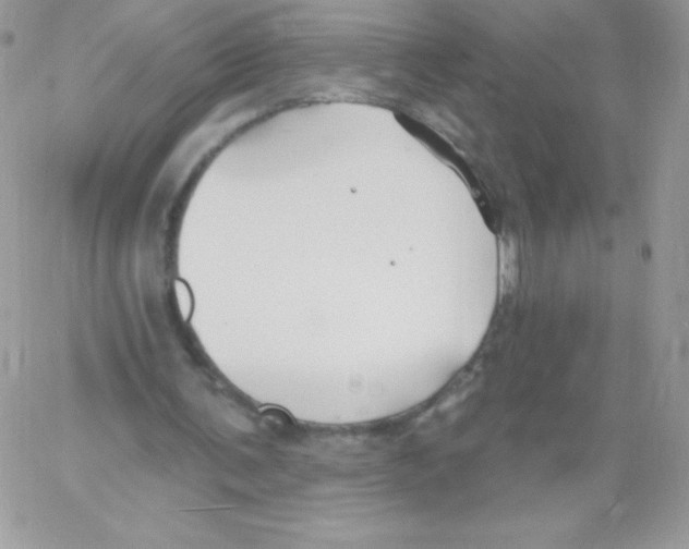 X0000061750291200512302245