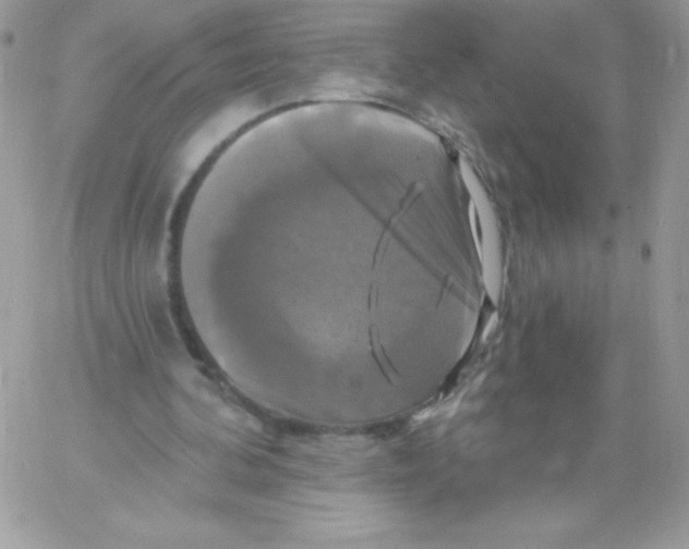 X0000061750292200512302245