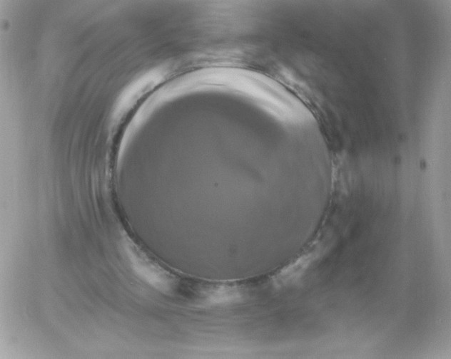 X0000061750293200512302245