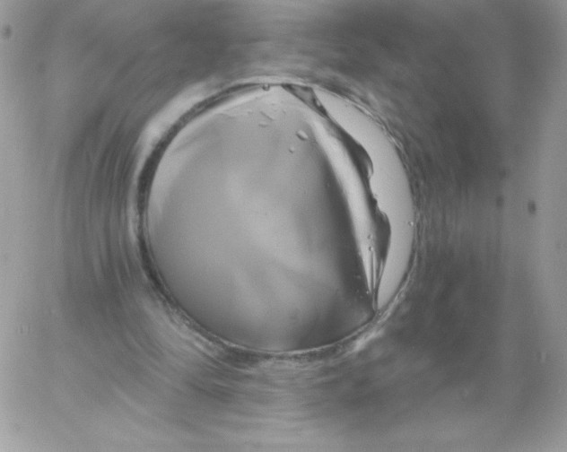 X0000061750294200512302245