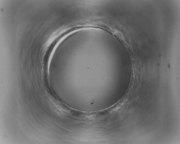 X0000061750295200512302245