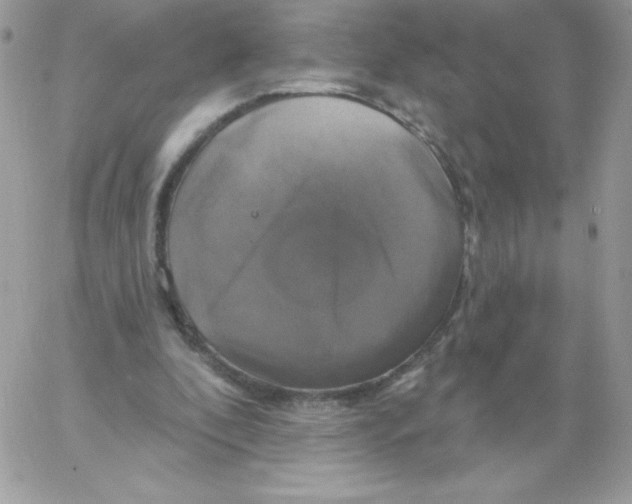 X0000061750296200512302245