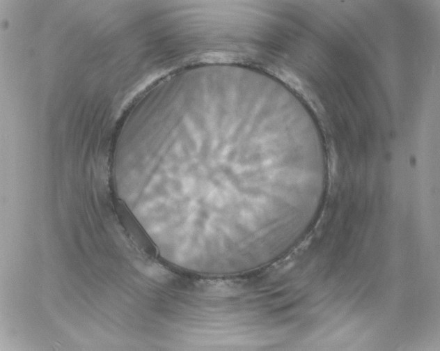 X0000061750297200512302245