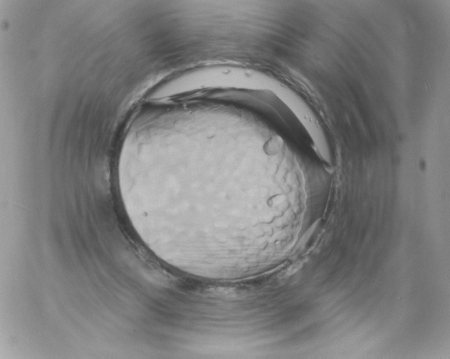 X0000061750298200512302245