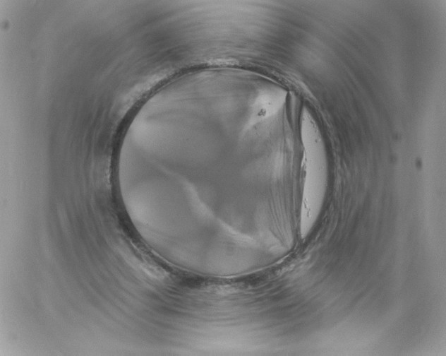 X0000061750299200512302245