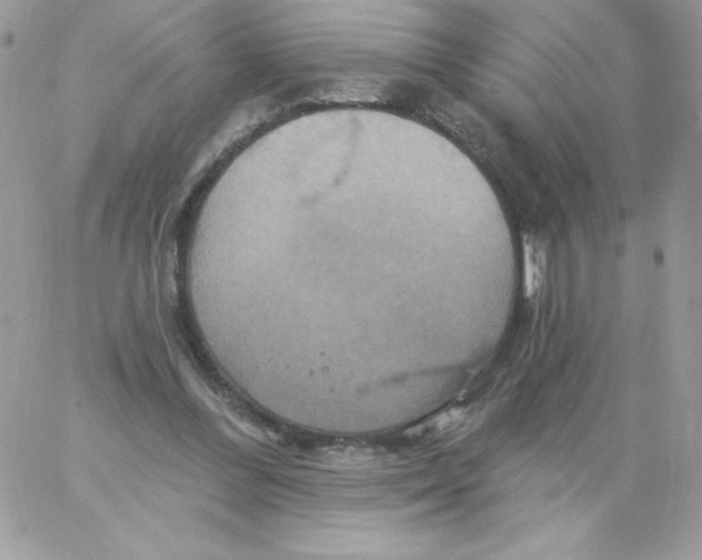 X0000061750300200512302245