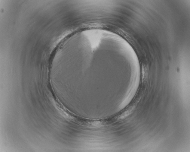 X0000061750301200512302245