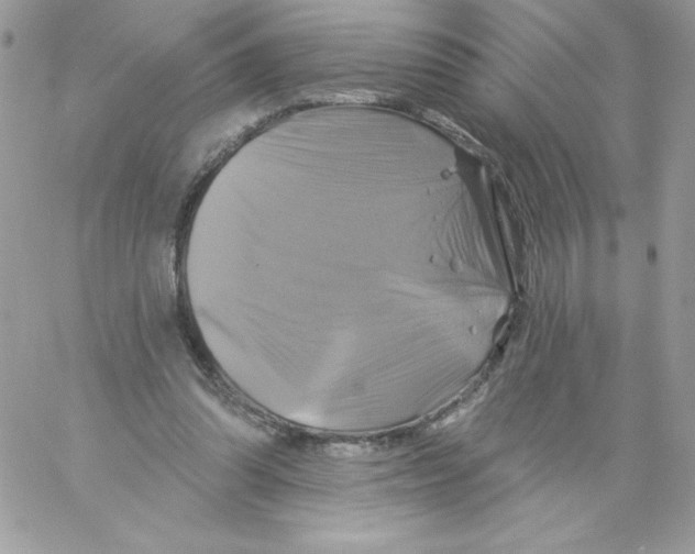 X0000061750302200512302244