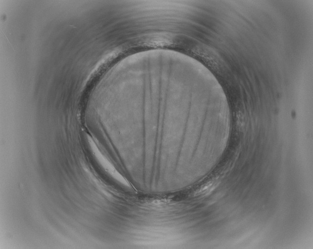 X0000061750304200512302244