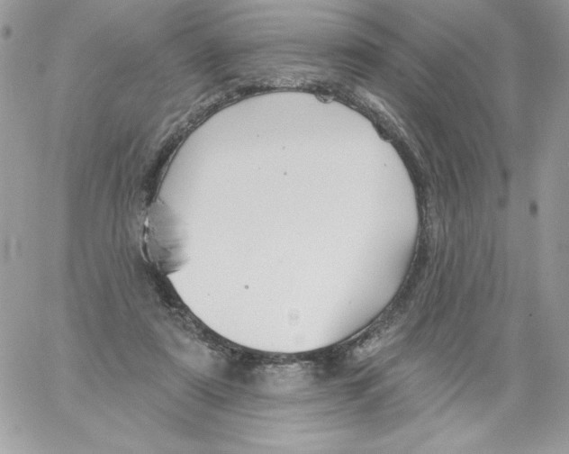 X0000061750307200512302244