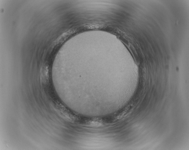 X0000061750308200512302244