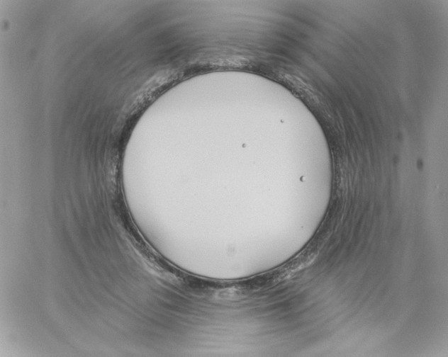 X0000061750309200512302244