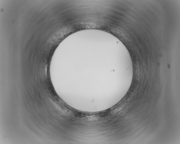 X0000061750310200512302244