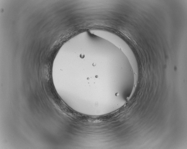 X0000061750311200512302244