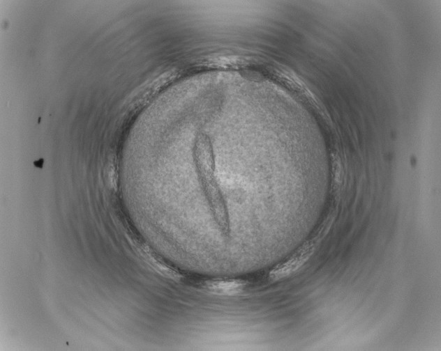 X0000061750313200512302244