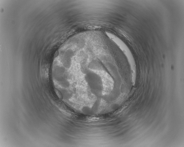 X0000061750315200512302244