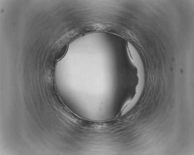 X0000061750317200512302244