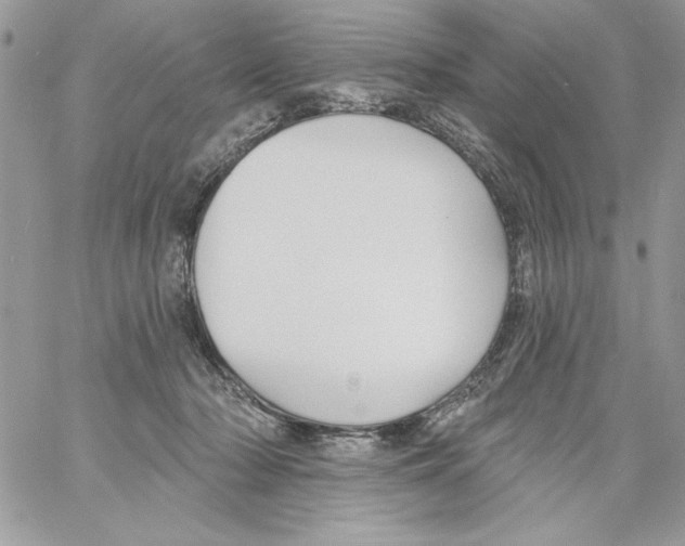 X0000061750318200512302244