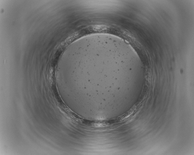 X0000061750319200512302244