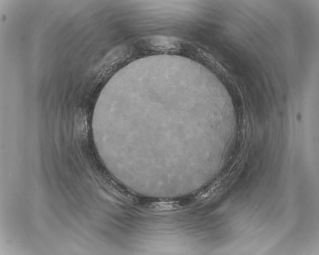 X0000061750320200512302244