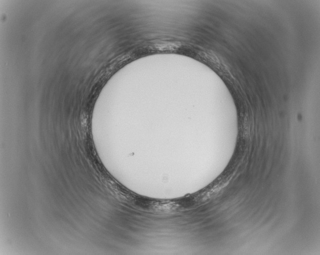 X0000061750321200512302244