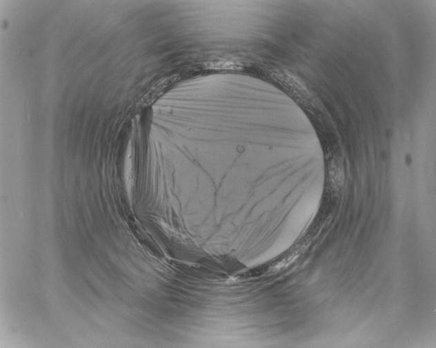 X0000061750322200512302244