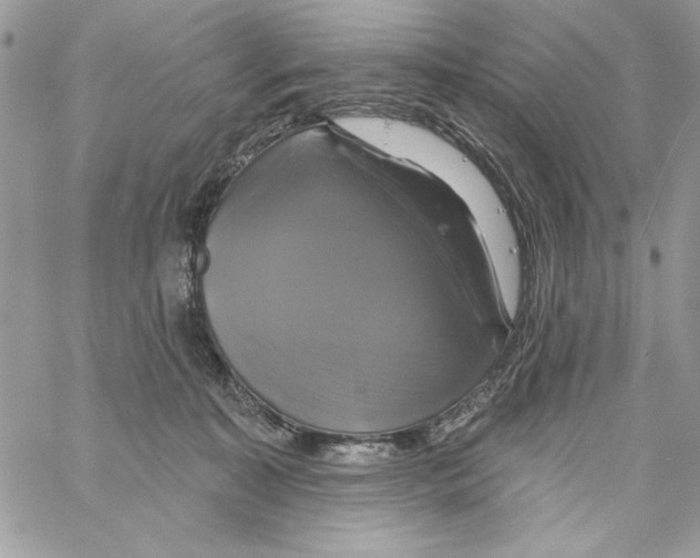 X0000061750323200512302244