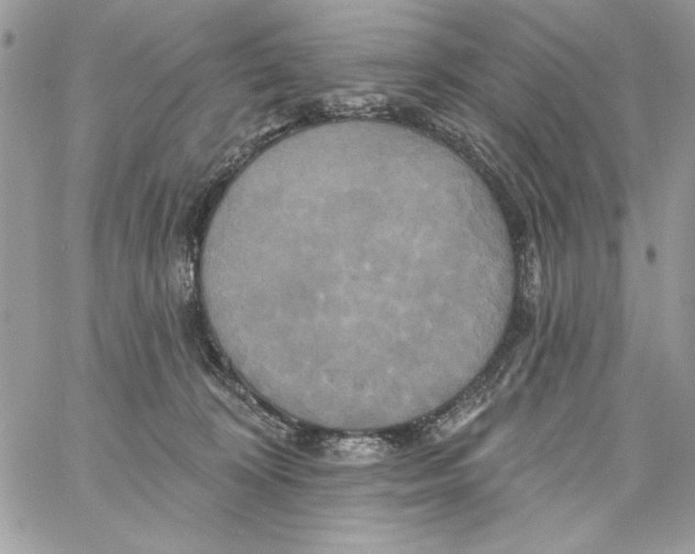 X0000061750324200512302244