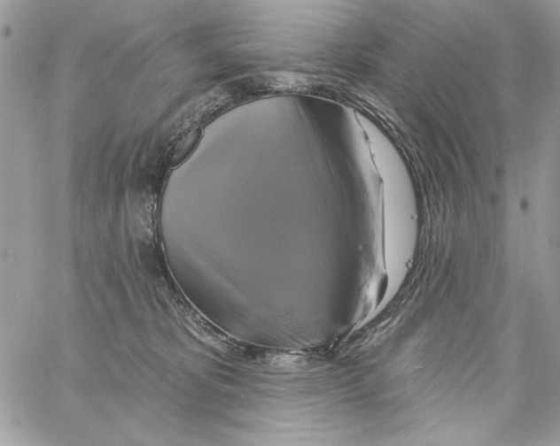 X0000061750325200512302244