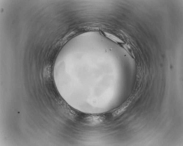 X0000061750326200512302244